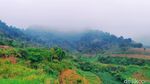 Ini Lho Spot Foto Unik dan Instagramable di Jalur Puncak II Cianjur