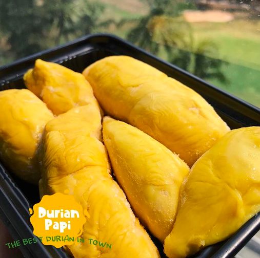 Tempat beli durian frozen online