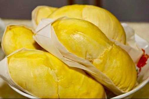 Tempat beli durian frozen online