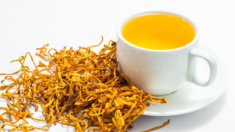 Jamur Cordyceps Militaris untuk Obat COVID-19 yang diteliti LIPI untuk obat COVID-19