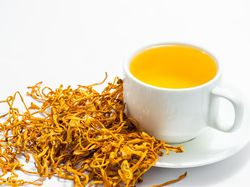 Potret Jamur Ajaib yang Dipakai LIPI Lawan COVID-19