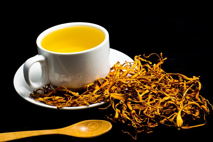 Jamur Cordyceps Militaris untuk Obat COVID-19 yang diteliti LIPI untuk obat COVID-19