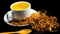 Jamur Cordyceps Militaris untuk Obat COVID-19 yang diteliti LIPI untuk obat COVID-19