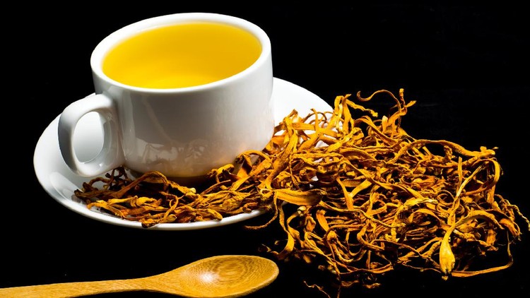 Jamur Cordyceps Militaris untuk Obat COVID-19 yang diteliti LIPI untuk obat COVID-19