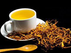 Potret Jamur Ajaib yang Dipakai LIPI Lawan COVID-19