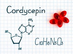 Potret Jamur Ajaib yang Dipakai LIPI Lawan COVID-19