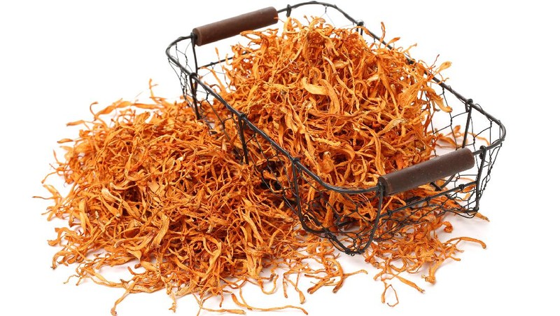 Jamur Cordyceps Militaris untuk Obat COVID-19 yang diteliti oleh LIPI