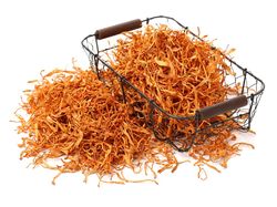 Potret Jamur Ajaib yang Dipakai LIPI Lawan COVID-19