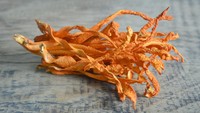Jamur Cordyceps Militaris untuk Obat COVID-19 yang diteliti oleh LIPI
