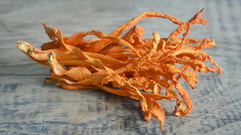 Jamur Cordyceps Militaris untuk Obat COVID-19 yang diteliti oleh LIPI