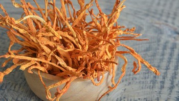 Cordyceps militaris, dapat digunakan untuk stamina tubuh baik secara keseluruhan organ tubuh maupun organ vital. Cordyceps dapat merangsang sistem kekebalan tubuh dan mengobati gangguan pernapasan. Kemampuannya memang cocok untuk dicobakan melawan COVID-19. (Getty Images/iStockphoto)