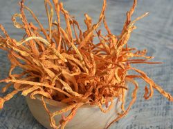 Potret Jamur Ajaib yang Dipakai LIPI Lawan COVID-19