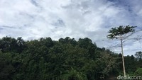 Pemandangan di sekitar air terjun (Abdy Febriady/detikcom)
