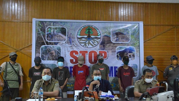 BBKSDA Riau Temukan Illegal Logging di Kampar