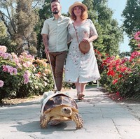 Kita hanya memakaikannya kostum untuk foto, sekitar sepuluh menit setiap dua minggu! Jika kamu melihat melalui feed kami, kamu akan melihatnya 99% tanpa kostum setiap saat, kata Kasey. Foto: Instagram @etheltheglamourtort