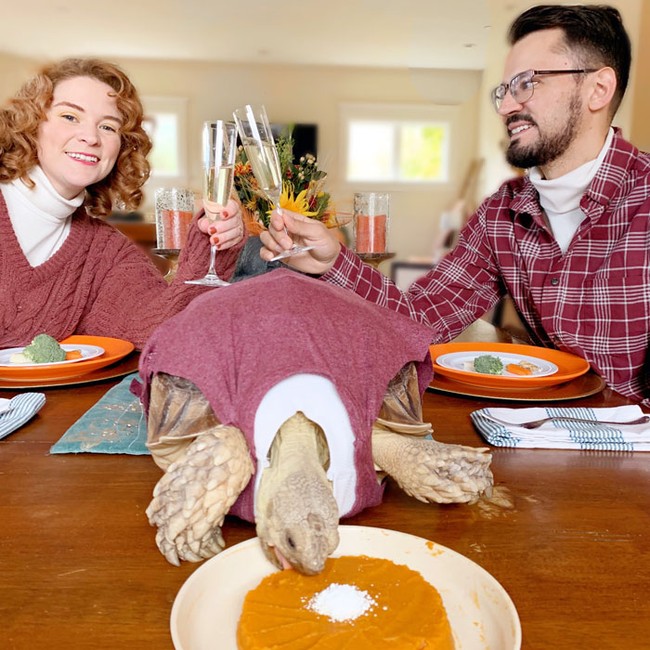 Kasey mengatakan bahwa Ethel sangat berarti baginya. Dirinya memang sudah sejak lama ingin menjadikan kura-kura berukuran besar sebagai hewan peliharaannya. Akhirnya sekarang dia bisa mewujudkan keinginannya tersebut. Foto: Instagram @etheltheglamourtort