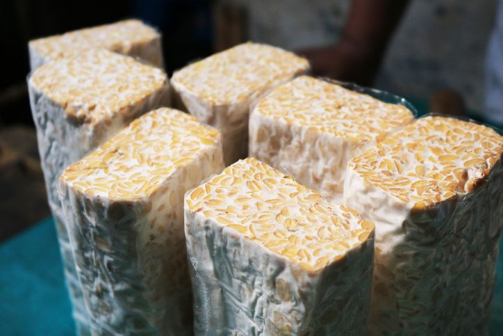 Fakta tentang tempe semangit