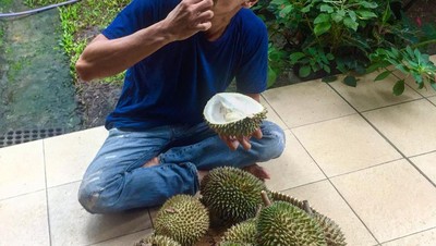 Intip Keseruan Fauzi Baadilla saat Santap Durian