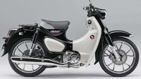 Honda lain yang meluncur pertama kali pada ajang Gaikindo Indonesia International Auto Show (GIIAS) 2018, harga Super Cub C125 cukup melambung 3 tahun setelahnya. Pada saat diluncurkan, Honda membanderol Super Cub C125 seharga Rp 55 juta. Foto: Young Machine