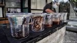 Ice Cream Linds Rasa Tempo Doeloe, Kedai Masa Kini