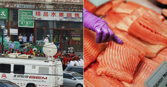 Ikan Salmon di Beijing
