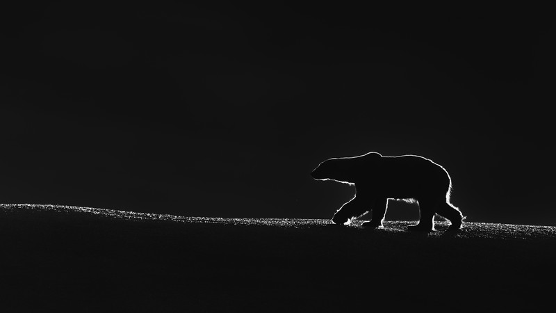 juara kontes foto HIPA