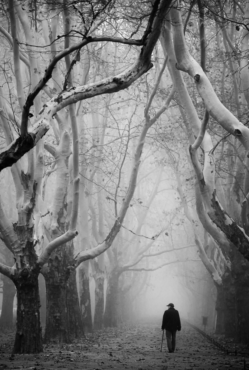 juara kontes foto HIPA