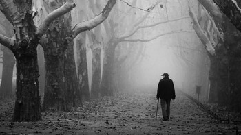 Anna Niemec dari Polandia berada di peringkat kedua dengan karya berjudul The Silent Witness. Foto: Anna Niemec/Hamdan bin Mohammed bin Rashid Al Maktoum International Photography Award