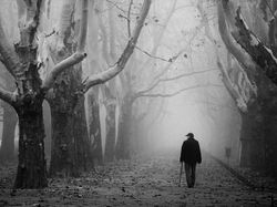 Aneka Foto yang Sabet Hadiah Rp 6 Miliar, Banyak dari Indonesia