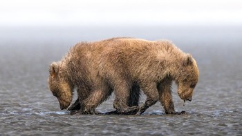 Rashed Al Sumaiti dari Uni Emirat Arab berada di peringkat ketiga dengan foto One Soul Opposite Direction. Foto: Rashed Al Sumaiti/Hamdan bin Mohammed bin Rashid Al Maktoum International Photography Award