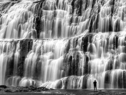 Aneka Foto yang Sabet Hadiah Rp 6 Miliar, Banyak dari Indonesia