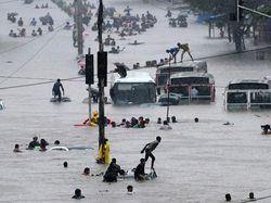 Aneka Foto yang Sabet Hadiah Rp 6 Miliar, Banyak dari Indonesia