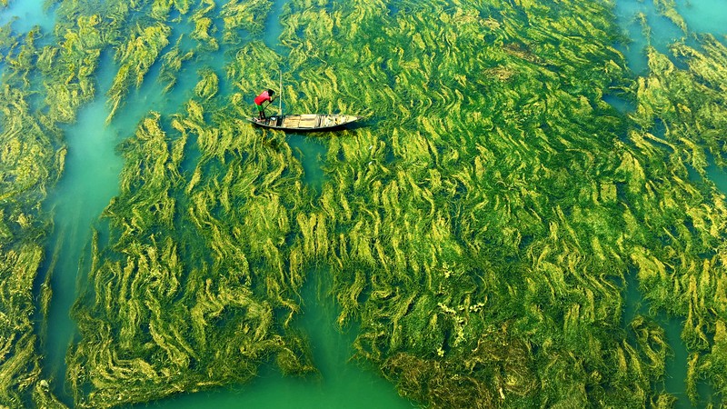 juara kontes foto HIPA