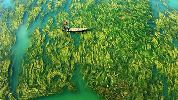 Kategori Mobile Photography dimenangkan oleh Apratim Pal dari India dengam foto berjudul A Journey Outside Our World. Foto: Apratim Pal/Hamdan bin Mohammed bin Rashid Al Maktoum International Photography Award