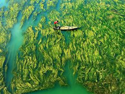 Aneka Foto yang Sabet Hadiah Rp 6 Miliar, Banyak dari Indonesia