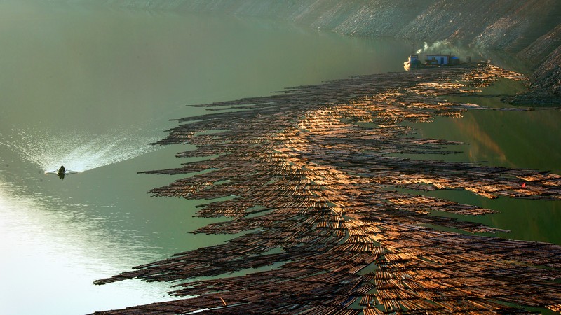 juara kontes foto HIPA