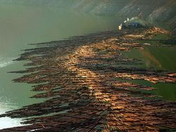 Aneka Foto yang Sabet Hadiah Rp 6 Miliar, Banyak dari Indonesia