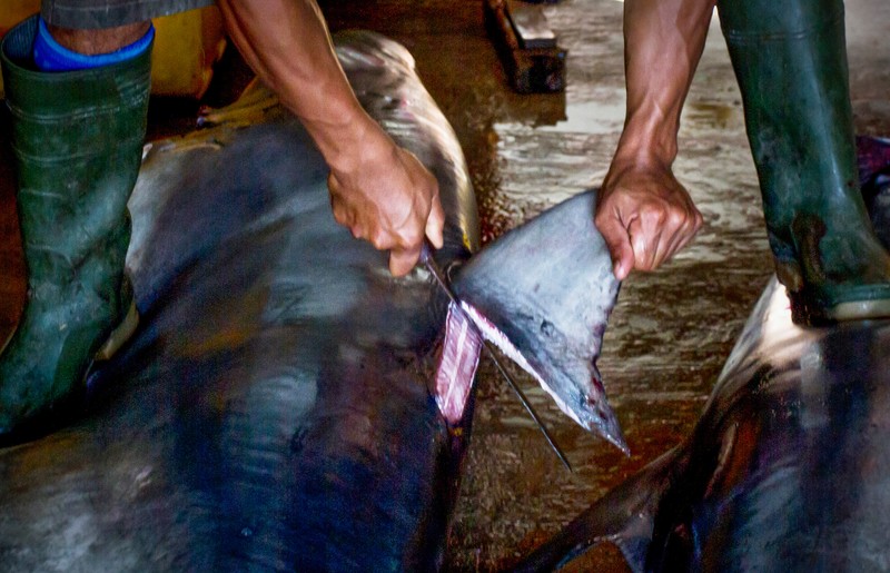 juara kontes foto HIPA