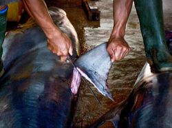 Aneka Foto yang Sabet Hadiah Rp 6 Miliar, Banyak dari Indonesia