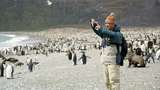 Workcation di Ujung Dunia, Ngitungin Penguin Antartika