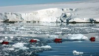 Turis tiba di Antartika pada tahun 1966 ketika Lars-Eric Lindblad, seorang pengusaha dan penjelajah Swedia-Amerika, memimpin kelompok wisatawan pertama di atas kapal laut angkatan laut Argentina (Foto: iStock)