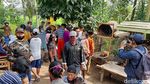 Potret Babi Hutan Aneh di Banyumas yang Bikin Heboh