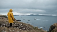 Para peneliti memeriksa 1.597 sarang burung di pulau-pulau tak berpenghuni di pesisir pantai kawasan Ayrshire. Hasilnya, lebih dari 80% sarang burung itu ditemukan sampah plastik. (Getty Images/Erik_V)
