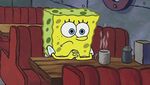 Nickelodeon Sebut SpongeBob SquarePants LGBTQ, Netizen: Gay?
