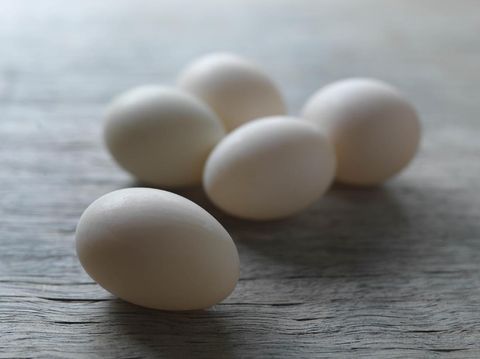 telur bebek menetas