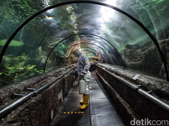 Tempat Wisata Ancol Siap Dibuka di Masa New Normal Sejumlah persiapan terkait penerapan protokol kesehatan dilakukan di tempat wisata Ancol jelang kembali dibuka di masa new normal. Seperti apa persiapannya?