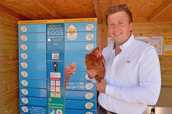 'Eggcellent', Vending Machine yang Tawarkan Telur