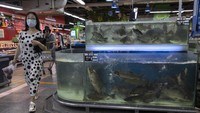 Beberapa kasus baru muncul di pasar Yuquandong di Beijing, setelah sebelumnya pemerintah menemukan cluster penularan baru di pasar grosir makanan Xinfadi.