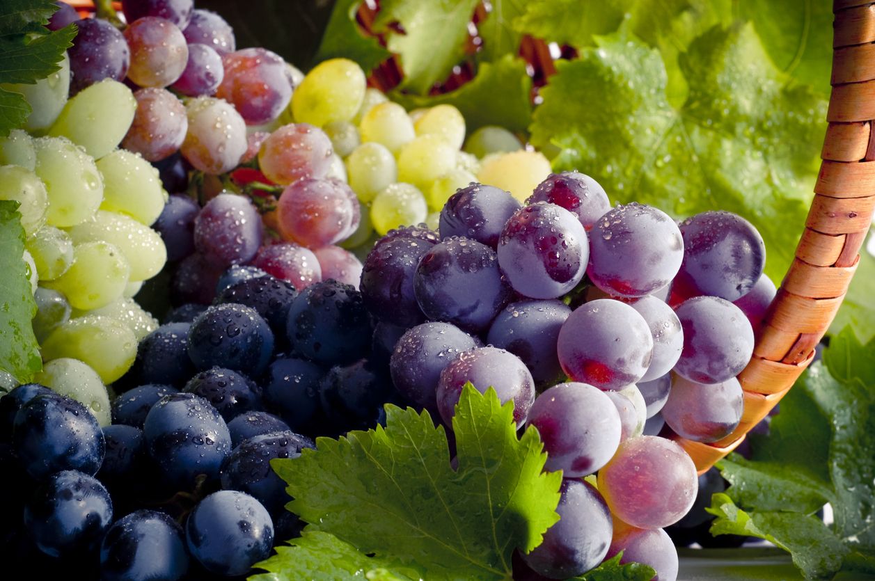 Fresh grapes and basket composition.