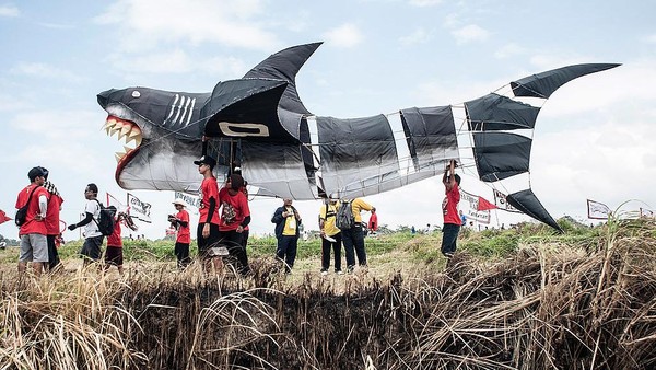  Di Indonesia, kerap diadakan festival untuk layang-layang. Di festival ini berbagai macam bentuk unik layang-layang diterbangkan. Putu Sayoga/Getty Images   Di Indonesia, kerap diadakan festival untuk layang-layang. Di festival ini berbagai macam bentuk unik layang-layang diterbangkan. Putu Sayoga/Getty Images Â